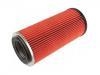 Air Filter:16546-06N00