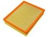 Filtro de aire Air Filter:25313348