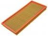 Luftfilter Air Filter:4797777AC