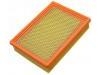 Air Filter:4591100AC