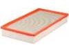 Filtro de aire Air Filter:19152817