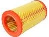 Air Filter:51793172