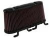 Luftfilter Air Filter:15776148