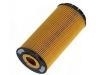 Oil Filter:07C 115 562 E