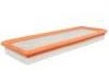 Air Filter:53101161