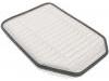 Luftfilter Air Filter:53034019AD