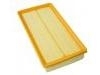 Air Filter:EGJ1109411