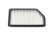 Luftfilter Air Filter:1109100C0103