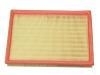 Luftfilter Air Filter:24512521