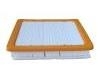 Air Filter:22971580