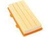 Luftfilter Air Filter:23418368