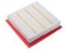 Air Filter:1109013-Y01