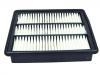 Air Filter:1109190-M06