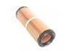 Air Filter:1R12121428AC