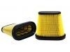 Air Filter:23107355