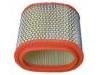 Filtro de aire Air Filter:382400303