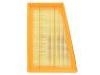 Air Filter:39068744