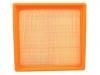 Air Filter:P1401-10036