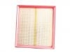 Air Filter:1109160-DD01